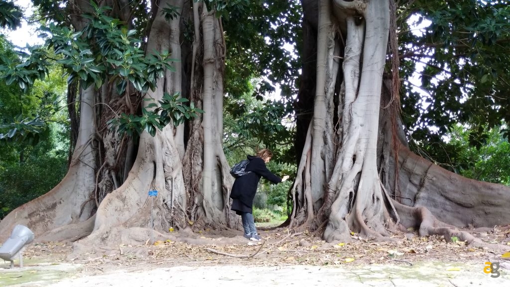 zte-axon-7-mini-recensione