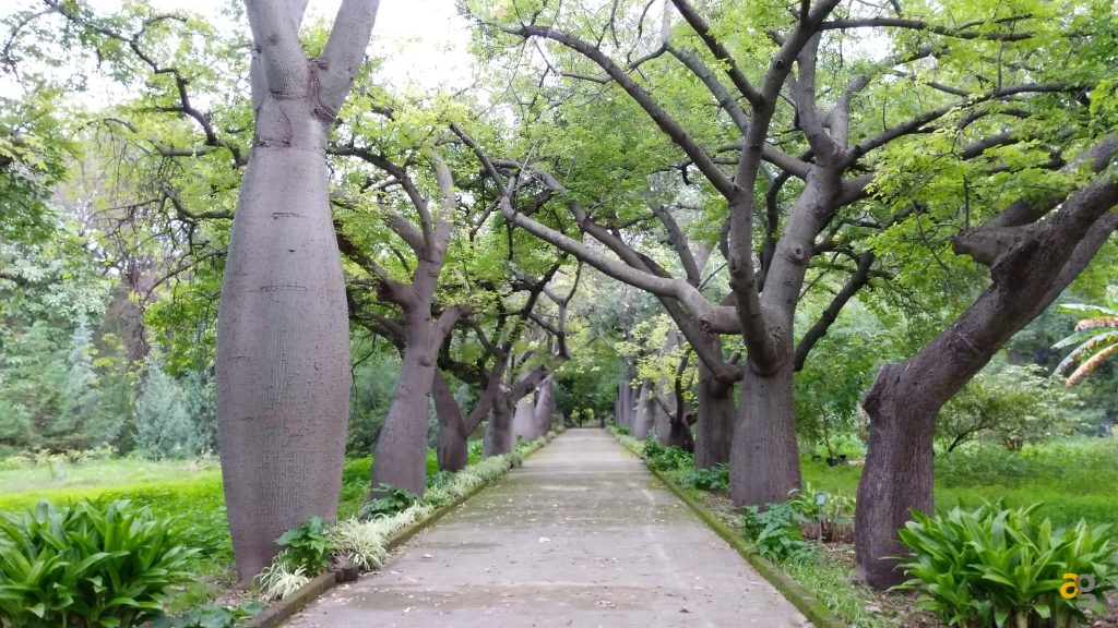 zte-axon-7-mini-recensione