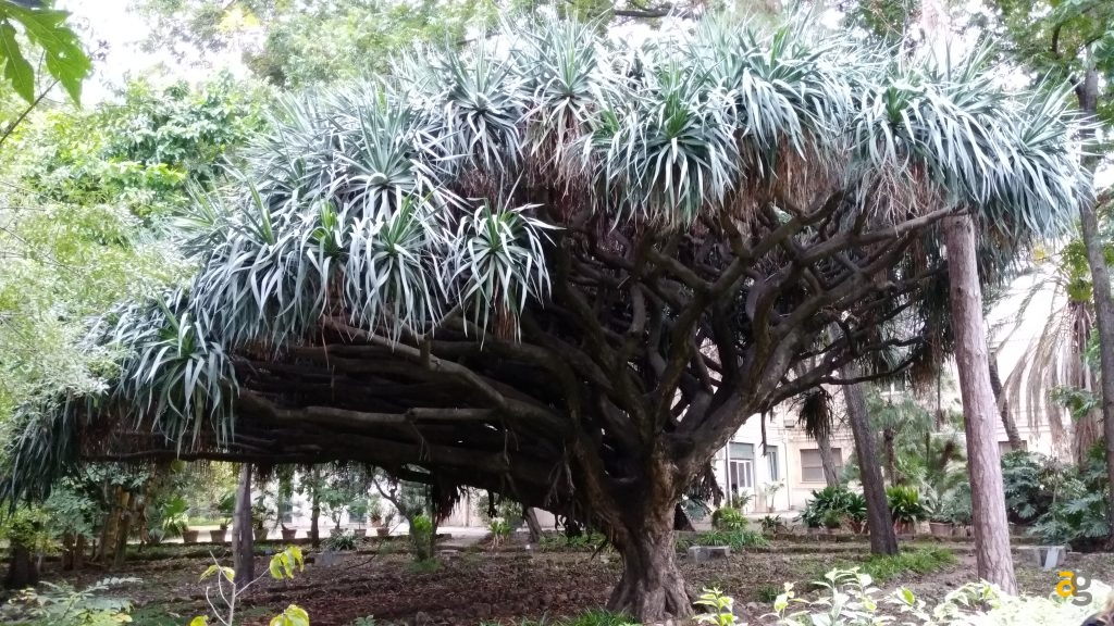 zte-axon-7-mini-recensione