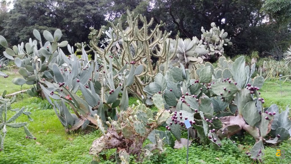 zte-axon-7-mini-recensione