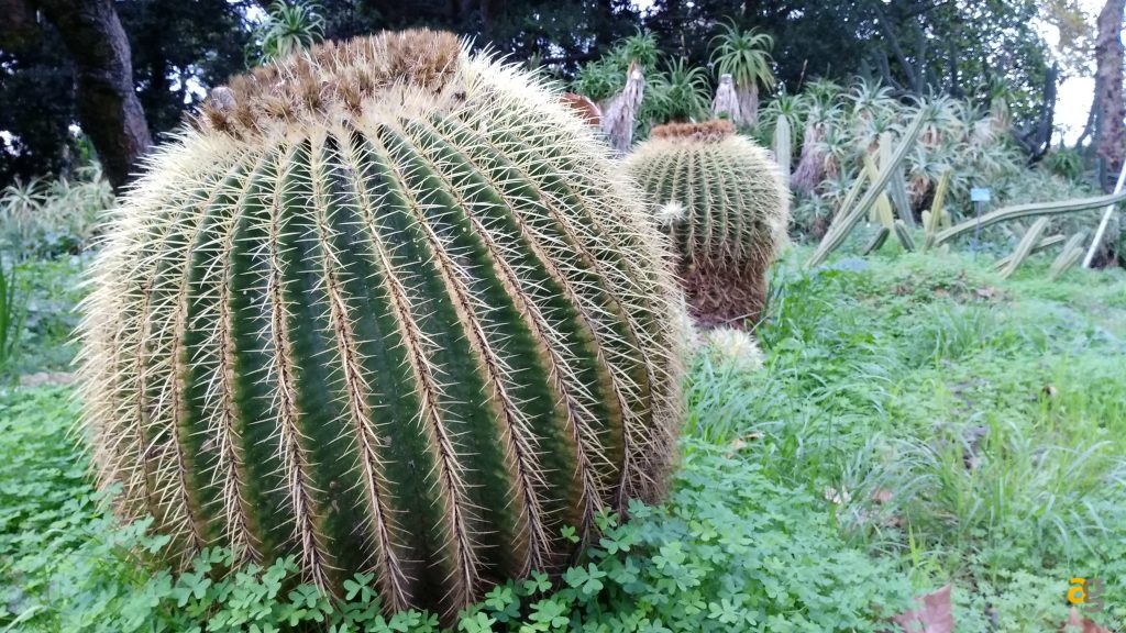 zte-axon-7-mini-recensione