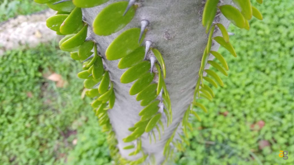 zte-axon-7-mini-recensione