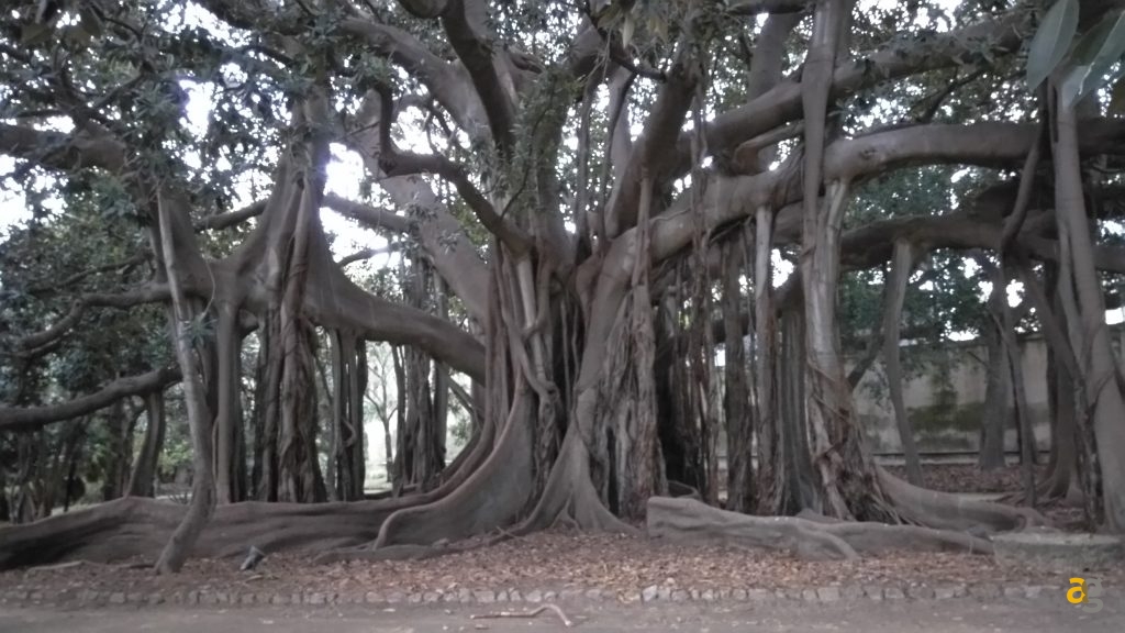 zte-axon-7-mini-recensione