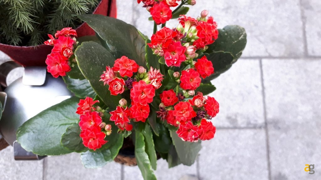 samsung-galaxy-a5-2017-recensione