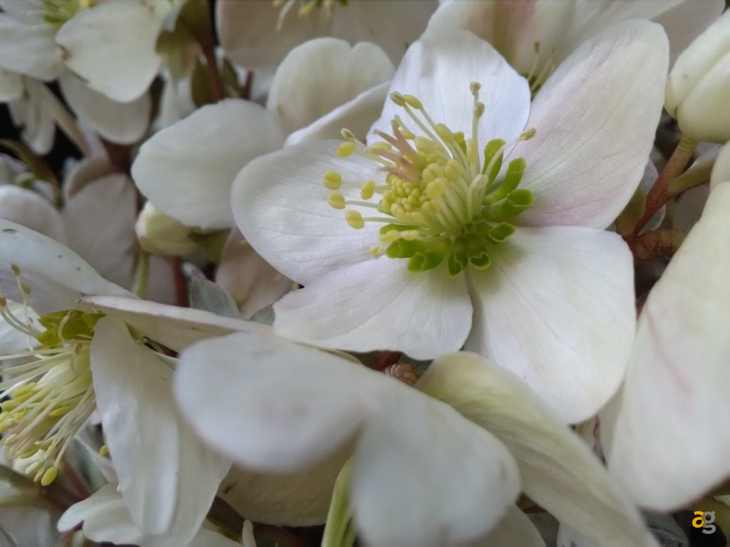 neffos-y5-recensione