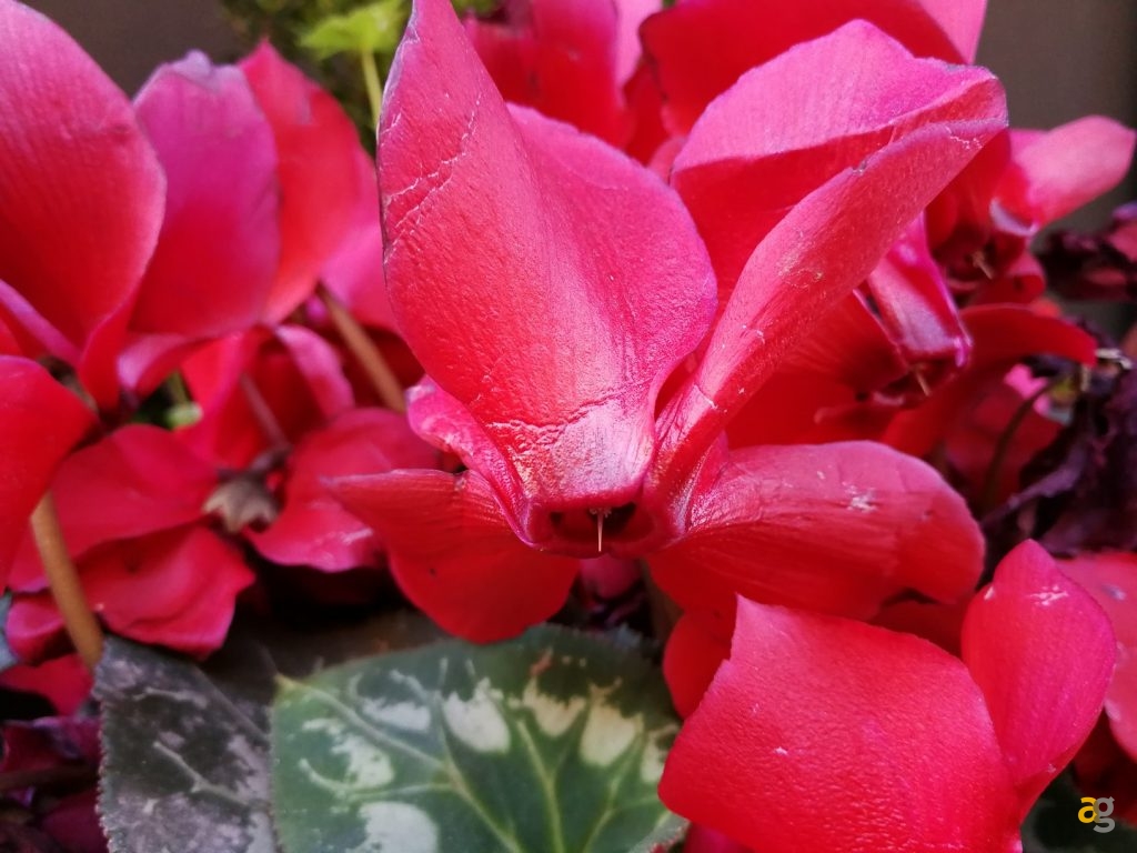 huawei-p10-recensione