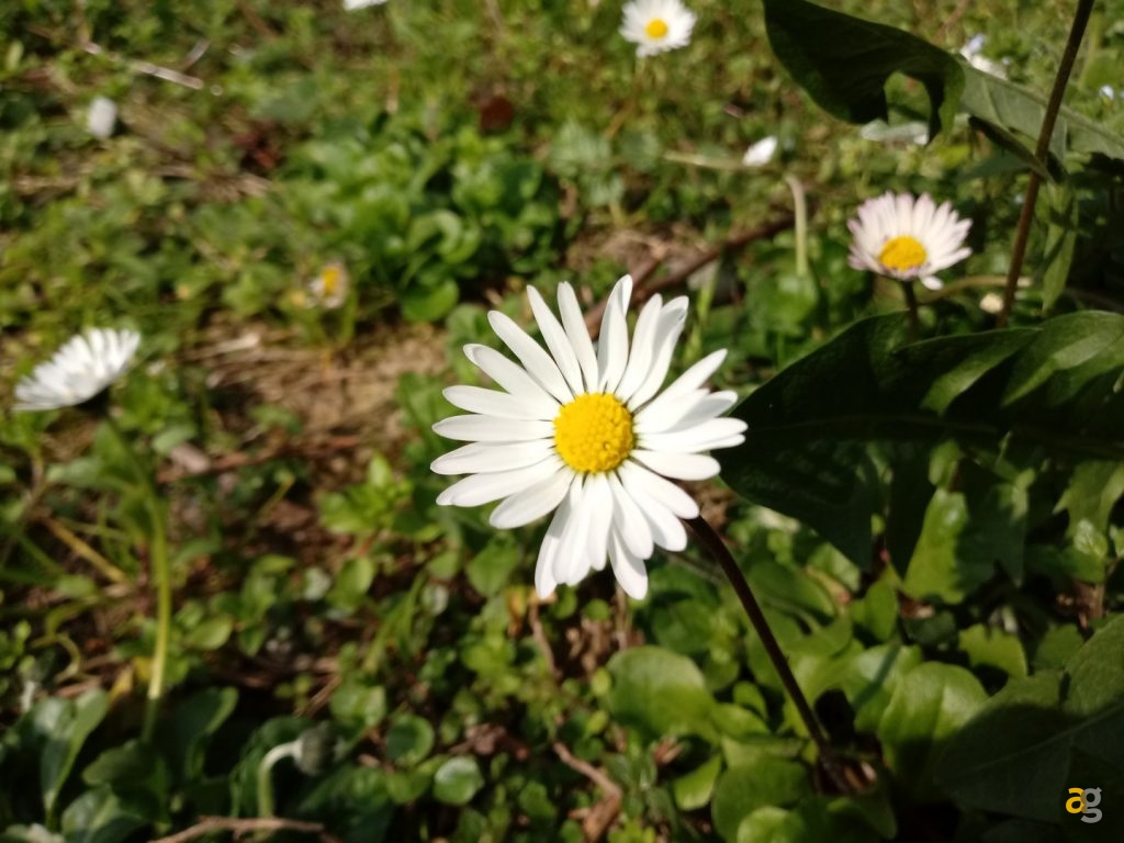 recensione-lg-k10-2017