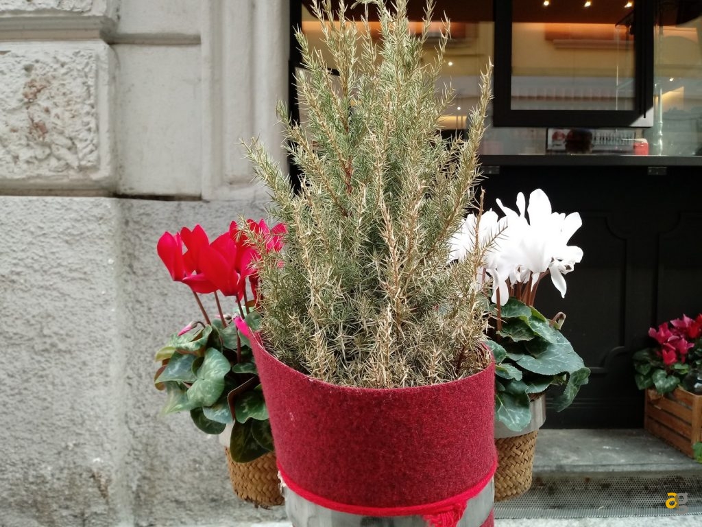 recensione-lg-k10-2017