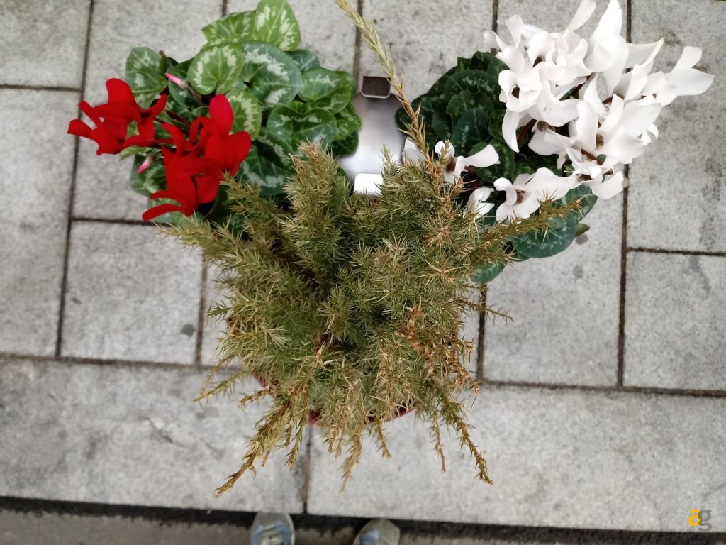 recensione-lg-k10-2017