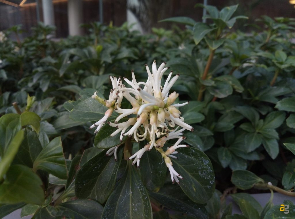 meizu-m5-note-recensione