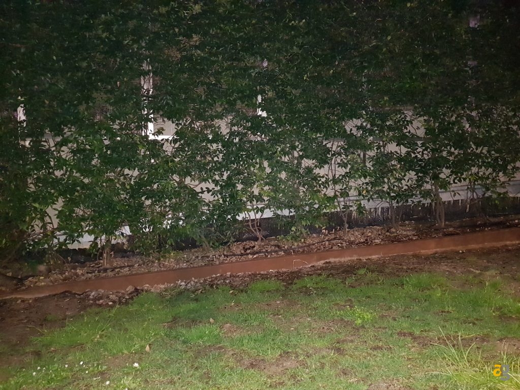 recensione-samsung-galaxy-s8