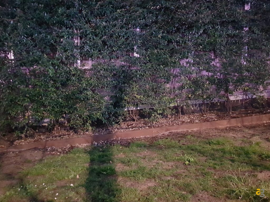 recensione-samsung-galaxy-s8