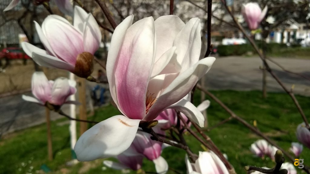 recensione-moto-g5-plus