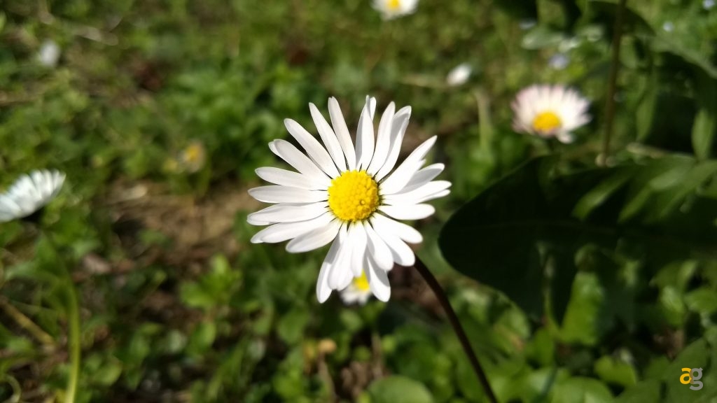 recensione-moto-g5-plus