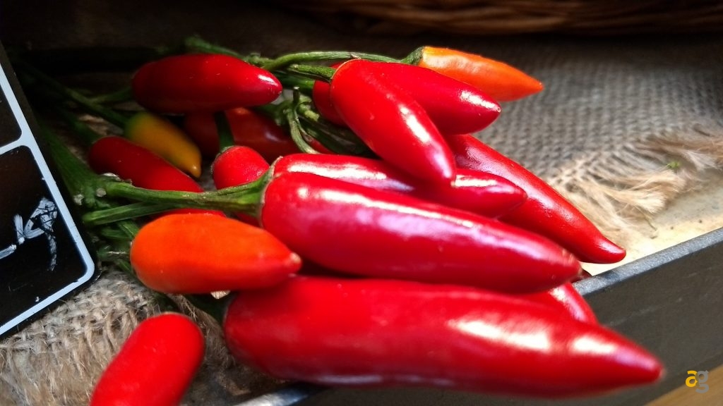 recensione-moto-g5-plus