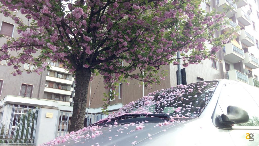 recensione-ulefone-power-2