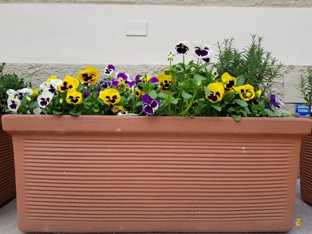 samsung-galaxy-s8-plus-recensione