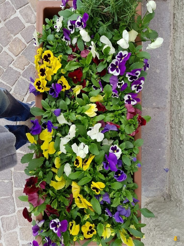 samsung-galaxy-s8-plus-recensione