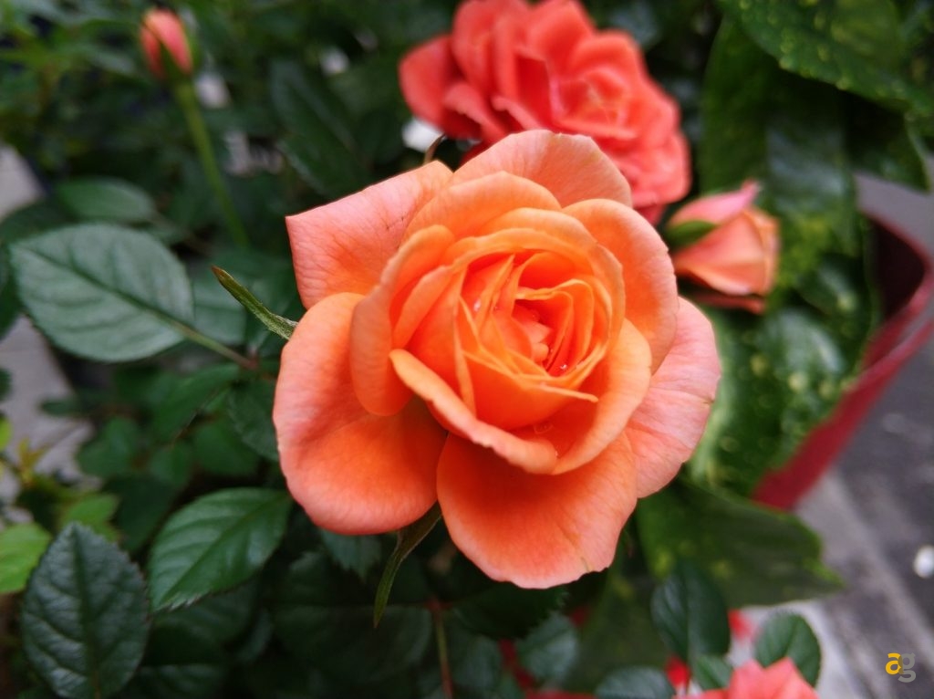 recensione-xiaomi-mi6-confronto-mi5