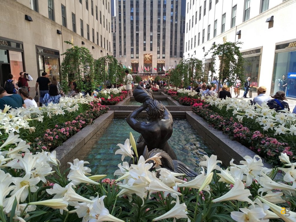 recensione-meizu-pro-6-plus