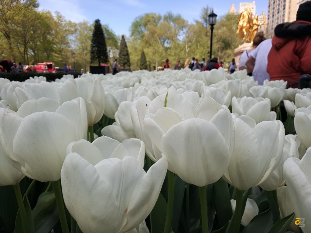 recensione-meizu-pro-6-plus