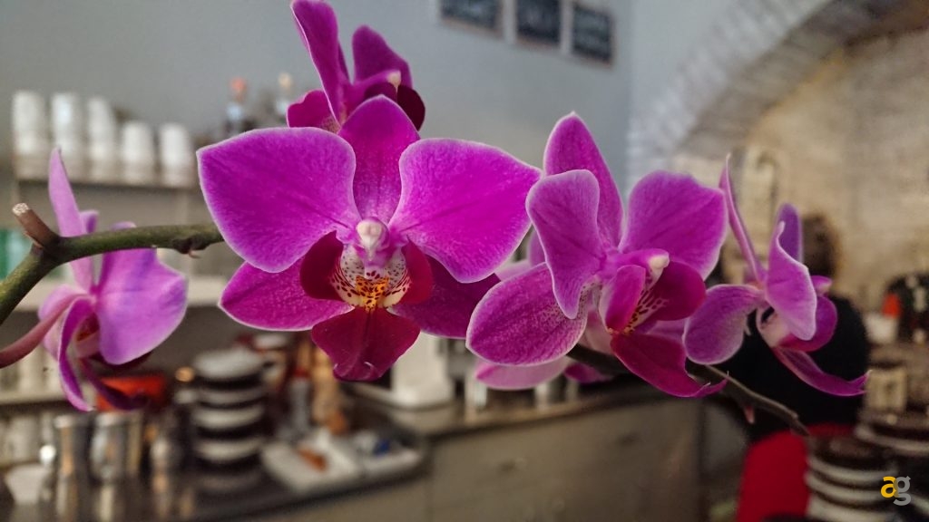 recensione-sony-xz-premium