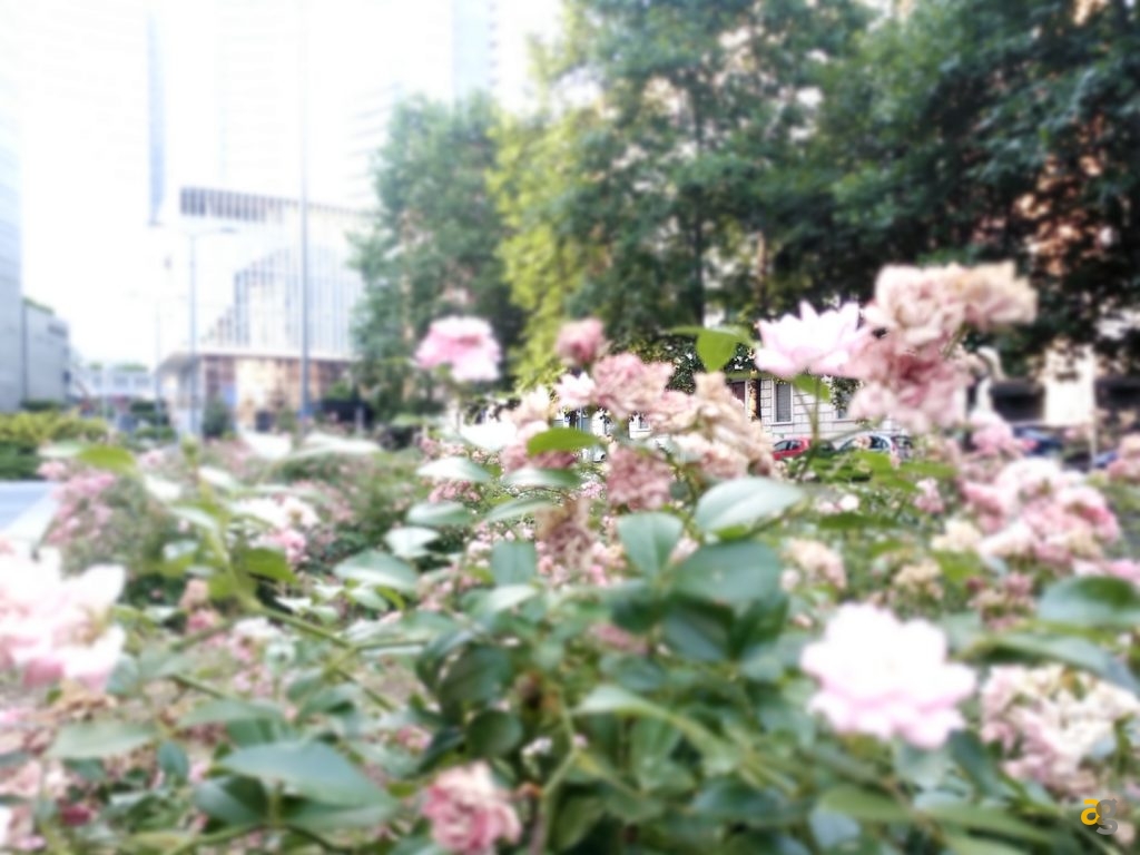 recensione-ulefone-gemini-pro