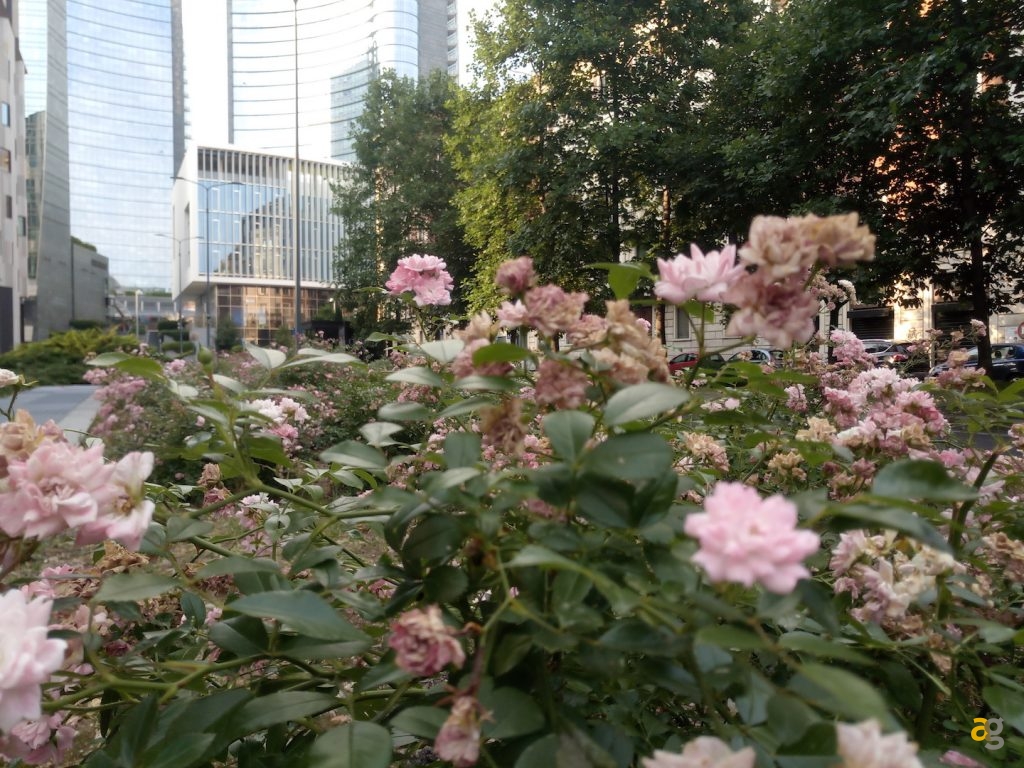 recensione-ulefone-gemini-pro