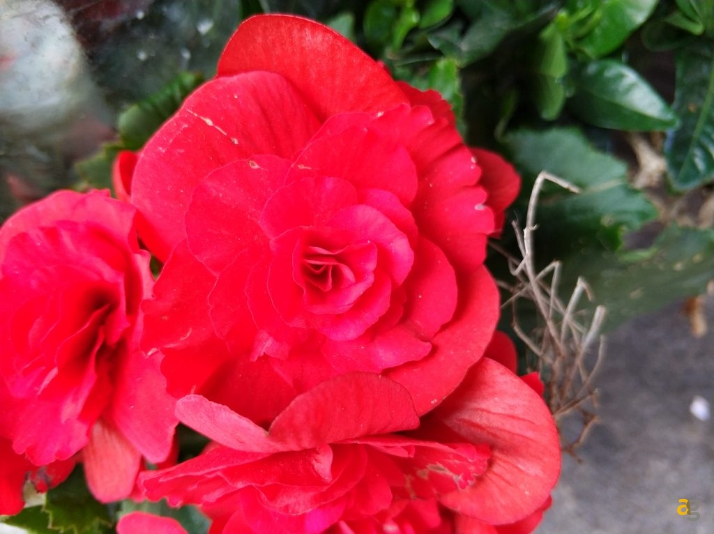 recensione-xiaomi-mi6-global-confronto-mi5