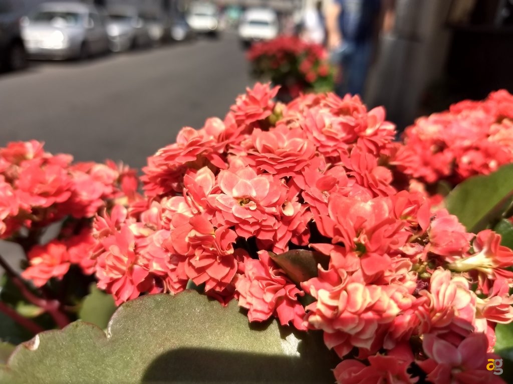 recensione-moto-z2-play