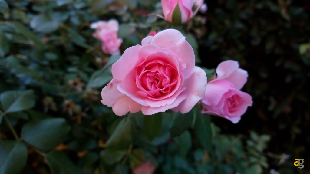 recensione-moto-e4-plus