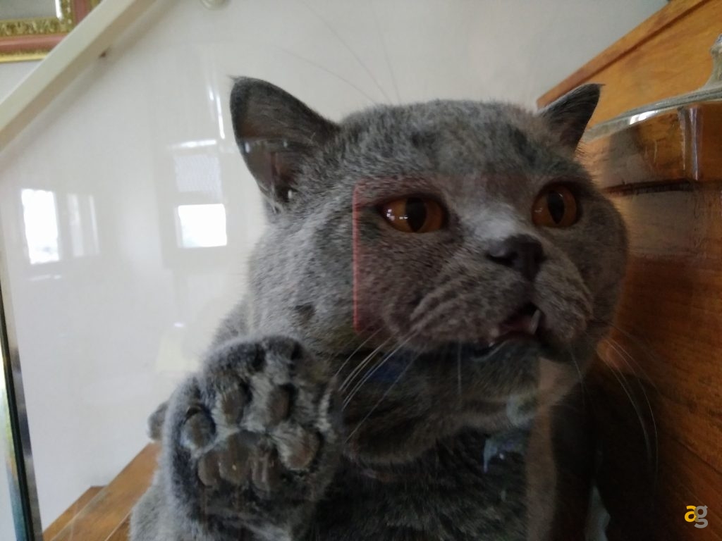 recensione-nubia-z17-mini