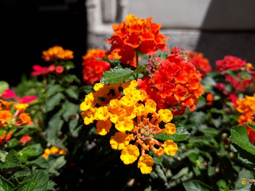 recensione-samsung-j5-2017