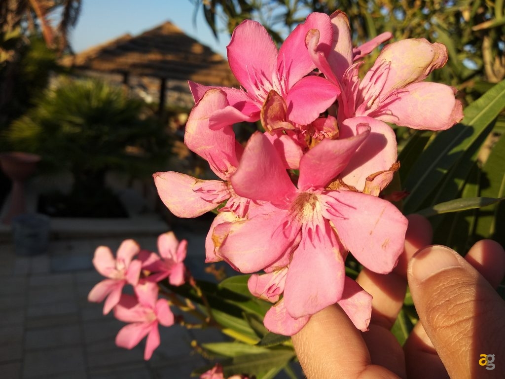 recensione-xiaomi-mi5x