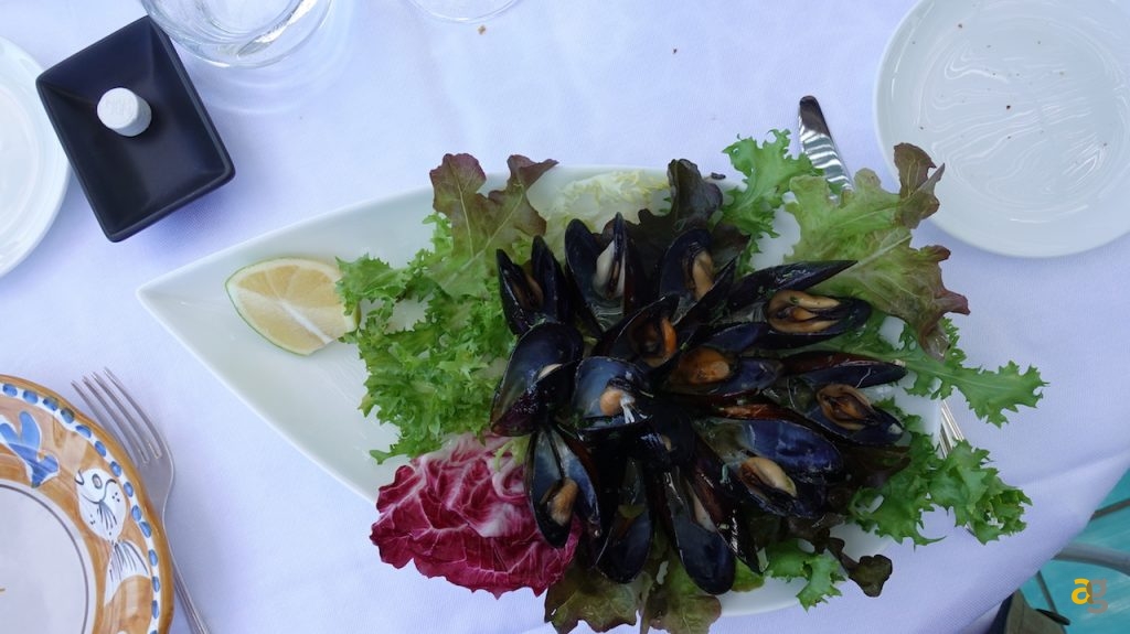 retroprova-galaxy-s2-ischia-safari