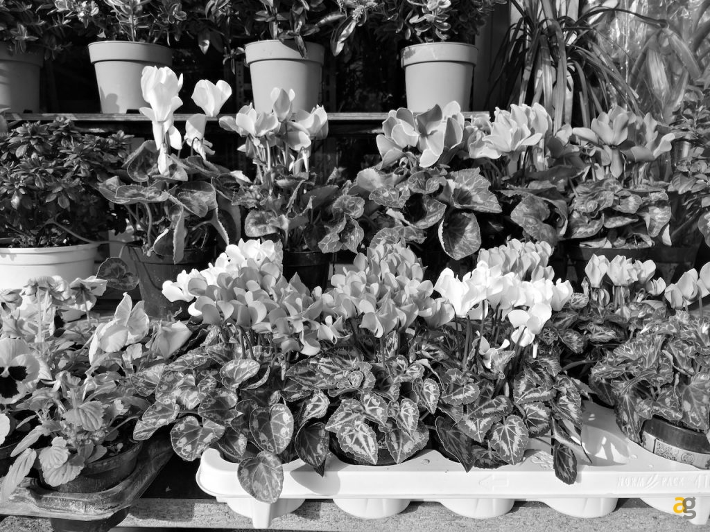 recensione-huawei-mate-10-pro