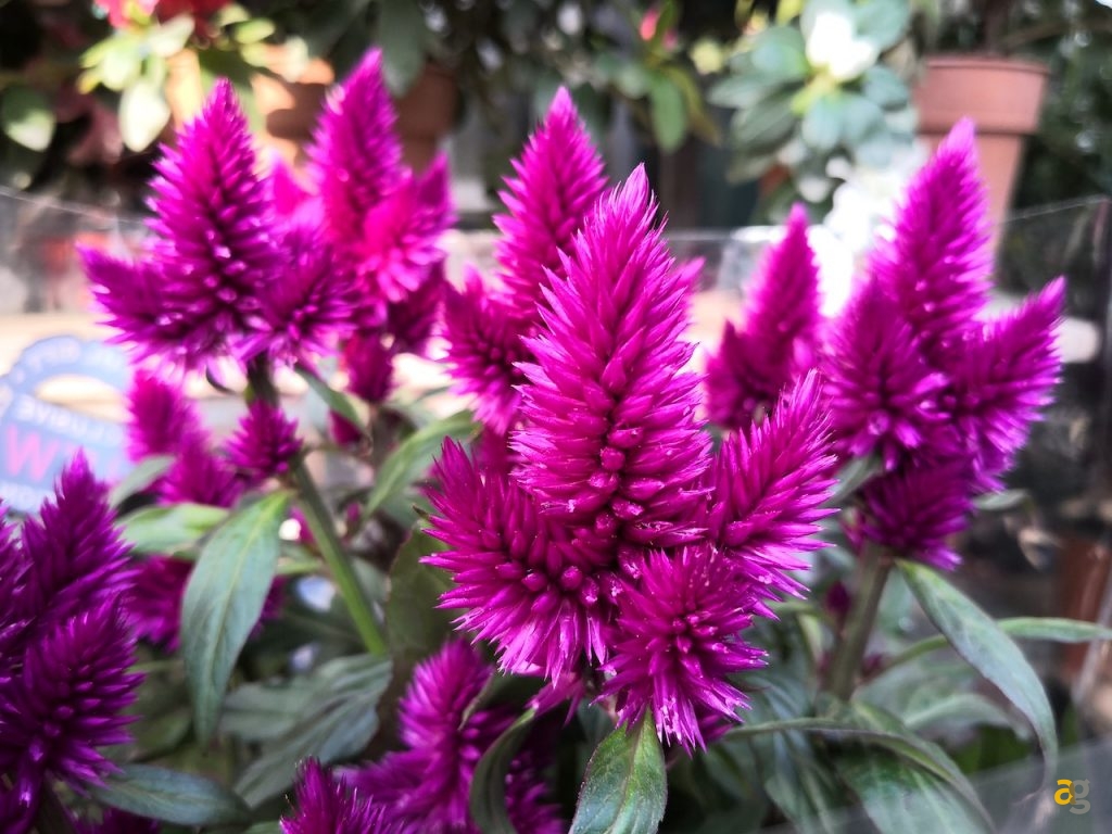 recensione-huawei-mate-10-pro