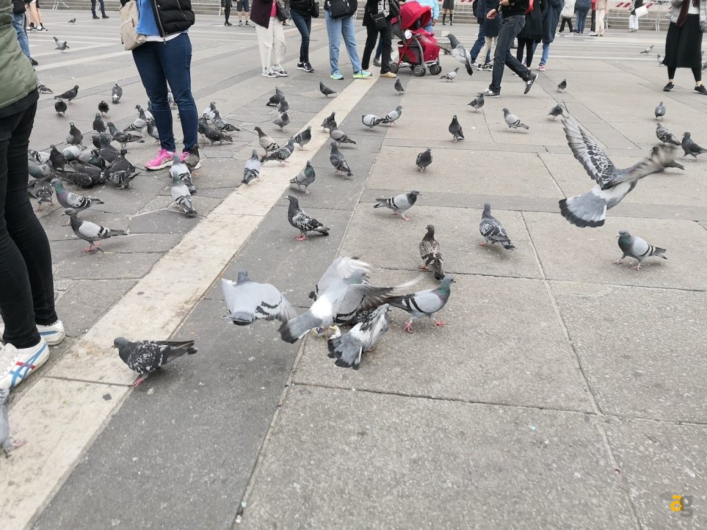 recensione-huawei-mate-10-pro