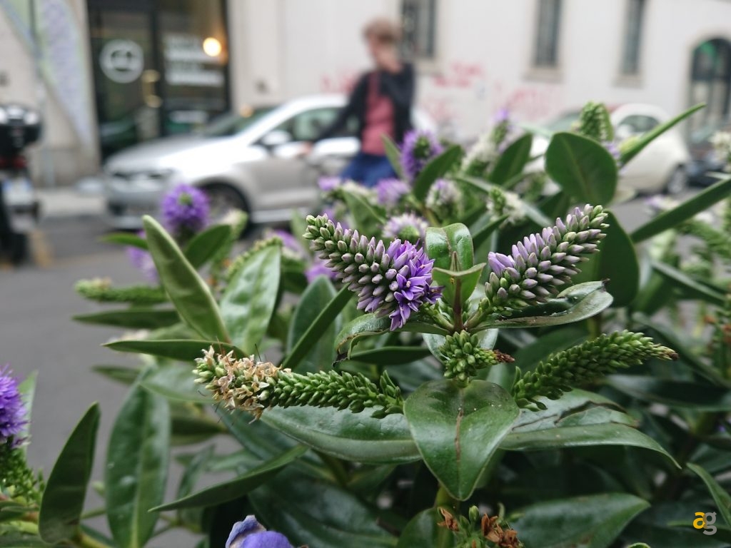 recensione-sony-xperia-xz1-compact