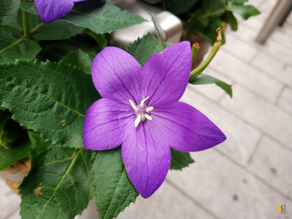 recensione-xiaomi-mi-mix-2