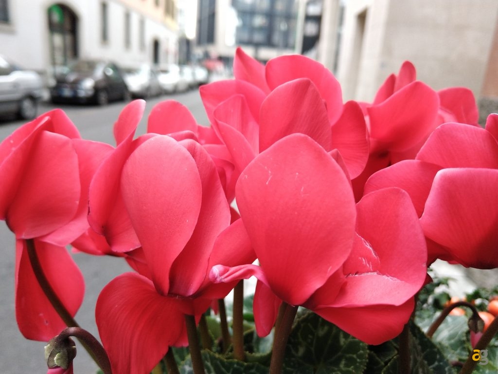 recensione-razer-gaming-phone