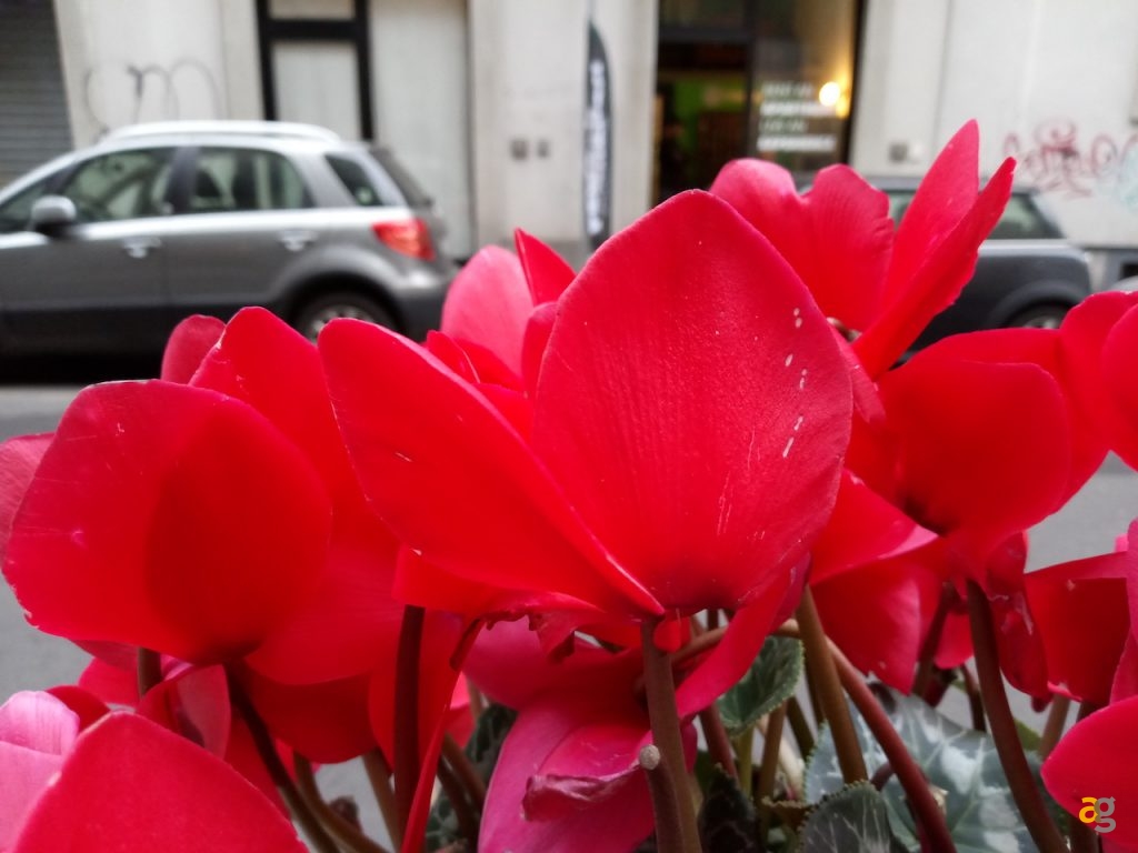 recensione-honor-6c-pro