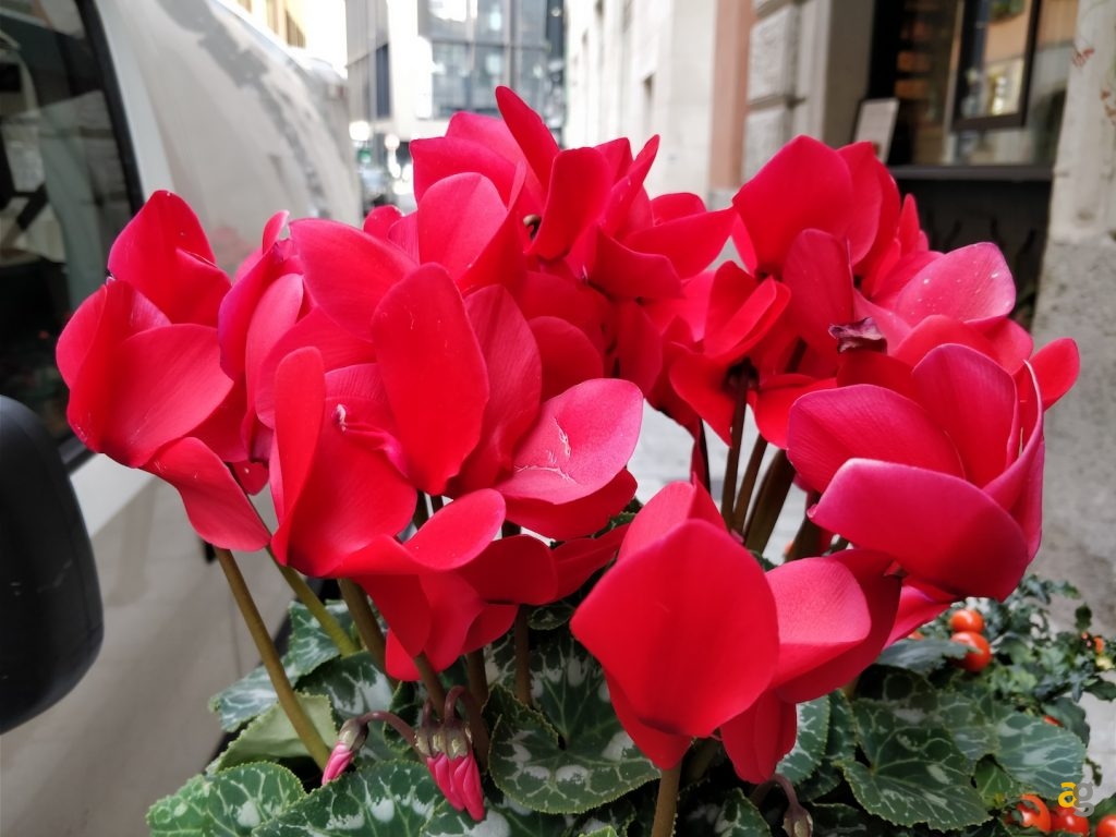 recensione-oneplus-5t