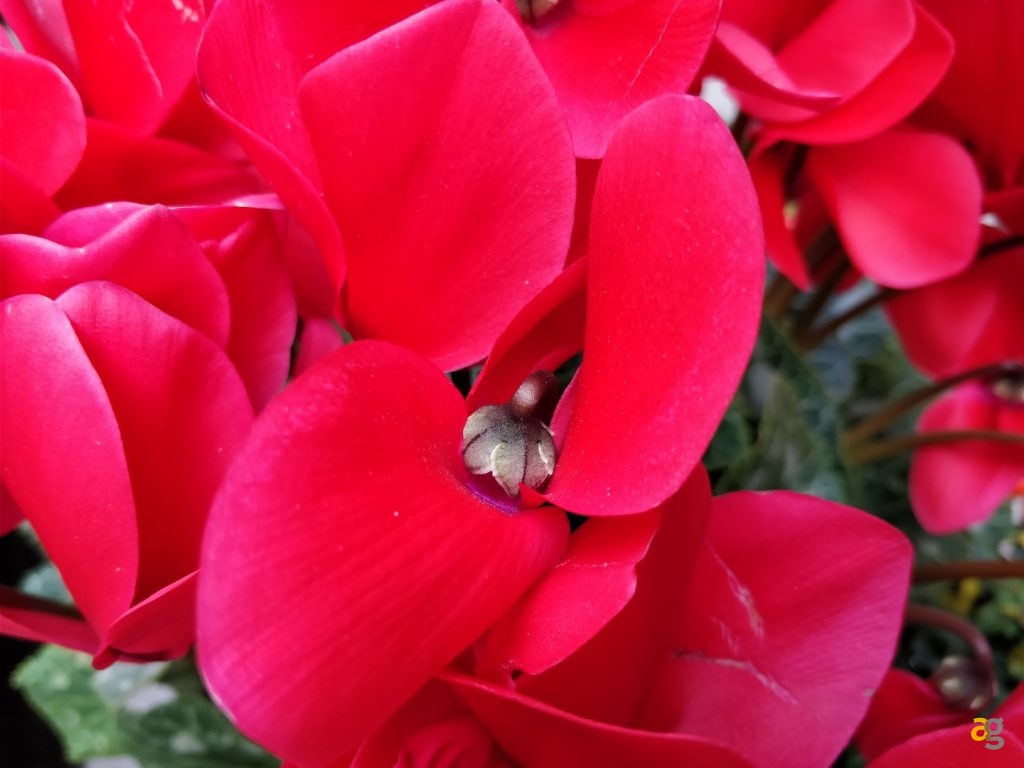 recensione-oneplus-5t