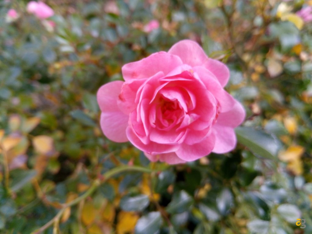 recensione-ulefone-mix