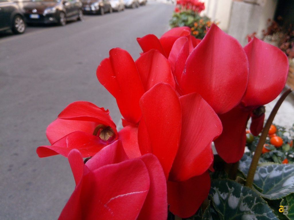 recensione-ulefone-mix