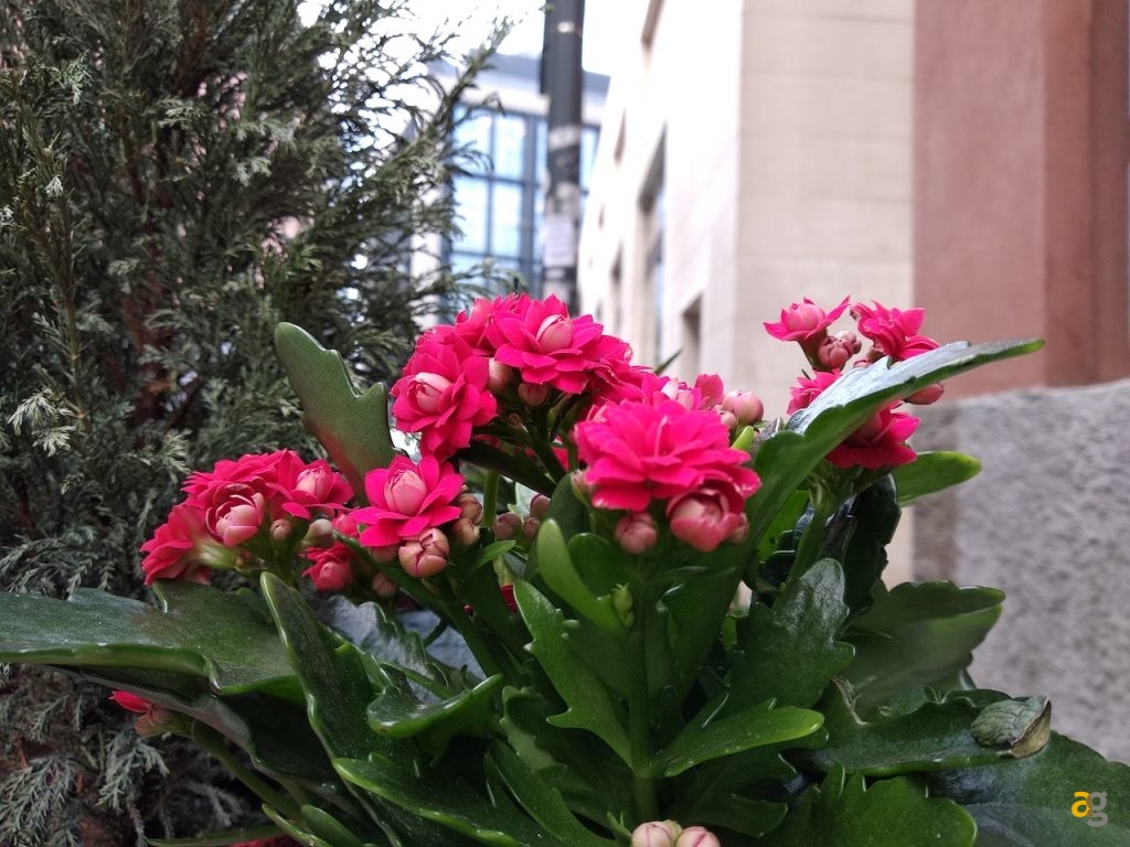 recensione-xiaomi-redmi-5-plus