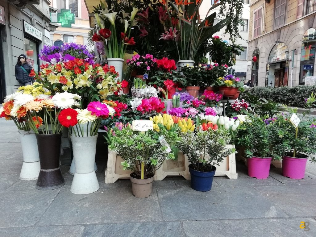 confronto-medi-huawei-honor