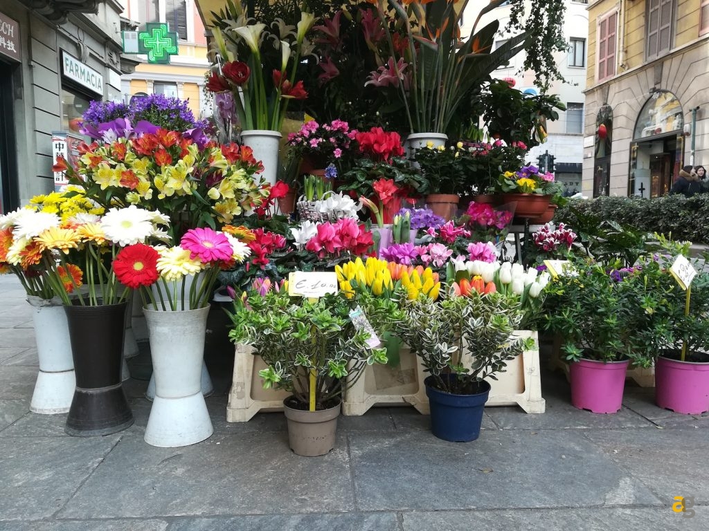 confronto-medi-huawei-honor