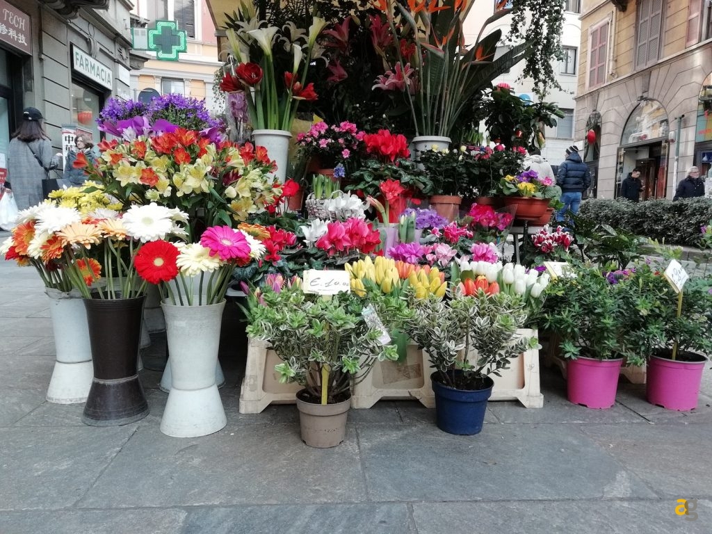 confronto-medi-huawei-honor